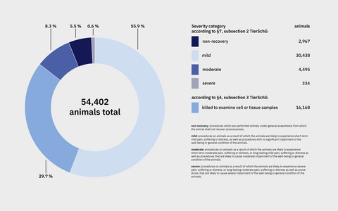 Animal Testing Overview severity 