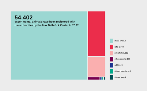 Animal Testing Overview 2022