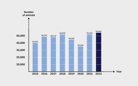 Diagram number of animal tests 2015 - 2022