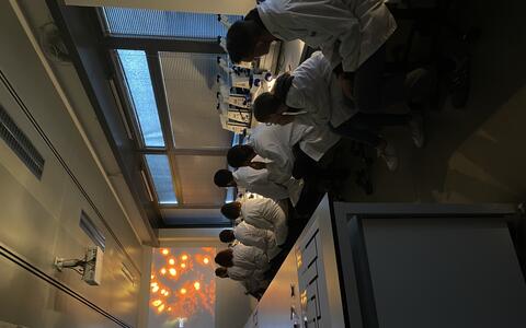 lecture DNA barcoding