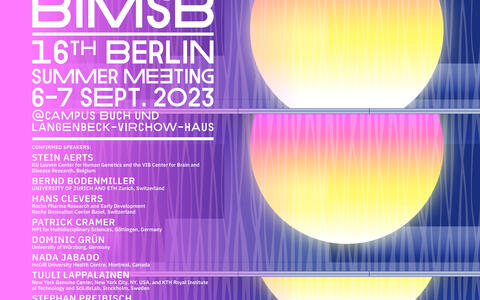 Poster BSM 2023