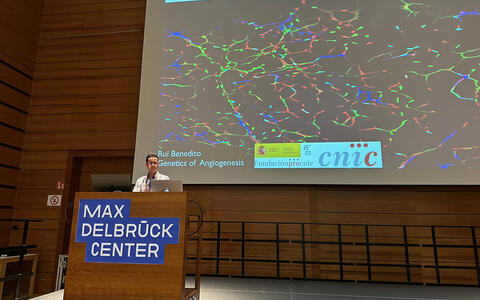 Vascular Biomedicine Berlin - Rui Benedito