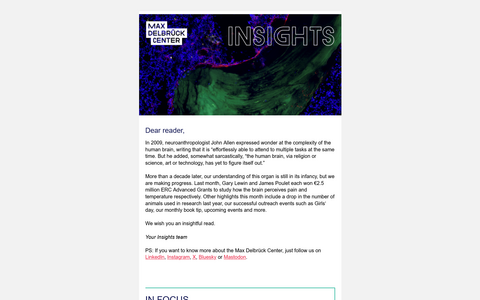 screenshot of the newsletter