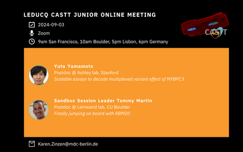 September 3 Leducq CASTT junior online meeting