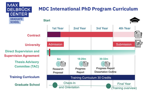 Grad School Curriculum