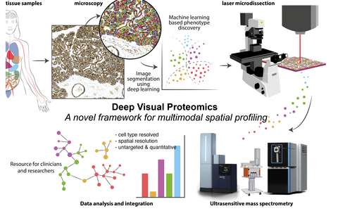 Deep Visual Proteomics workflow