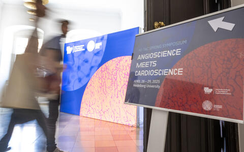 Directional sign for “Angioscience Meets Cardioscience” symposium at Heidelberg University, April 28–29, 2025.