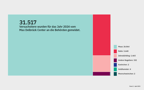 Anzahl der Versuchstiere am Max Delbrück Center 2024