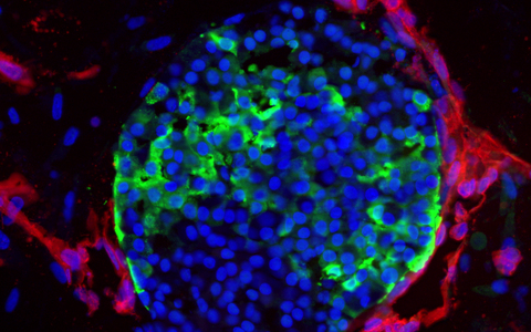 scientific image