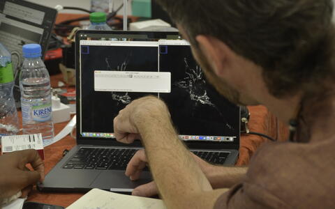 Person, die während einer wissenschaftlichen Schulung mikroskopische Bilder auf einem Laptop analysiert.