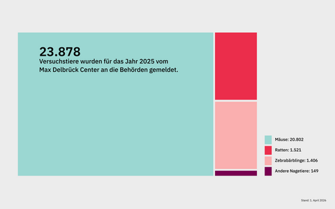 Tierversuche &Uuml;bersicht Tiere 2025