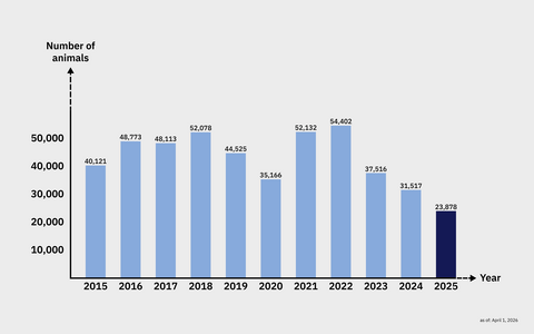 Diagram number of animal experiments 2015 - 2025