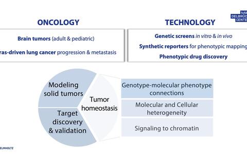 Gargiulo lab - research approach