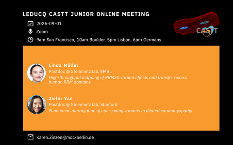 Leducq CASTT junior online meeting poster
