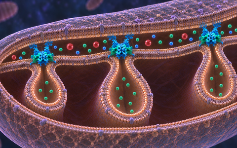 Scientific image