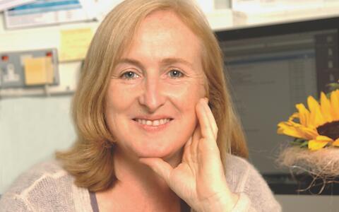 Prof. Dr. Amanda Gay Fisher