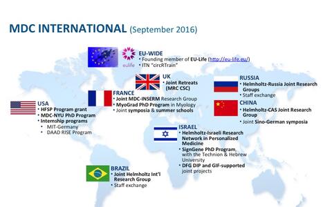 MDC International Cooperations