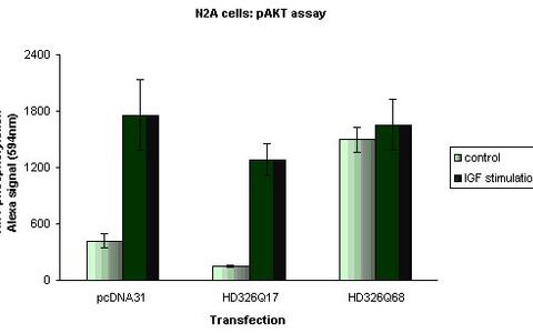 pAkt assay