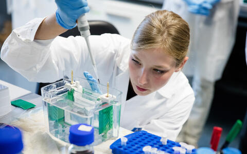Scientist at work
