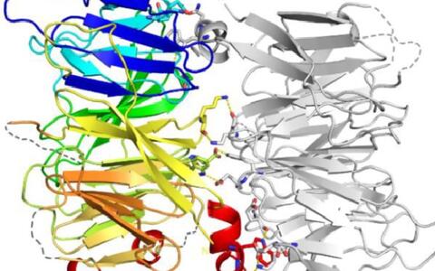 Vps18_structure