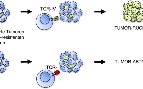 tumor_escape