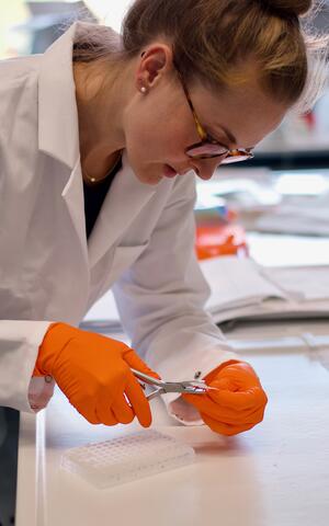 Katrina Meyer is punching samples from a membrane