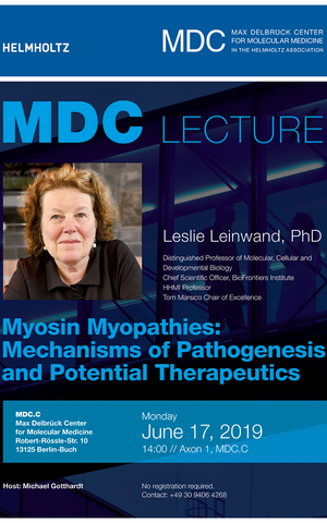 MDC Lecture Leslie Leinwand