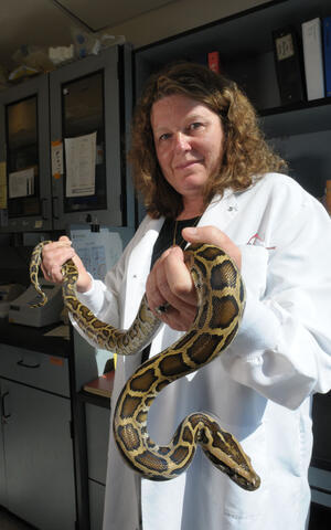 Leslie Leinwand with python