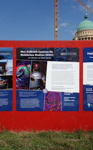 Bauzaun MDC Poster