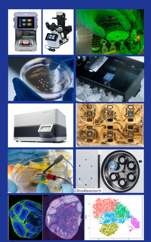 Collage of services