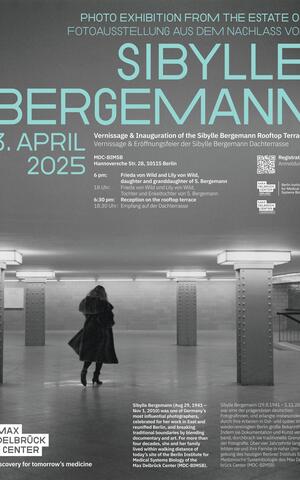 SB exhibition Poster