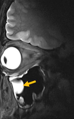 Wissenschaftliches Bild