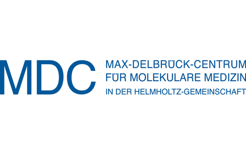Mdc Corporate Design Mdc Berlin