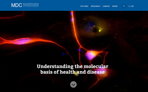 MDC Website - Homepage