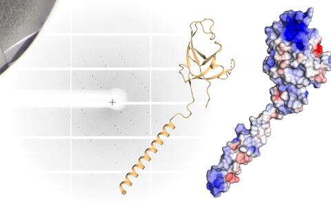 molecule model