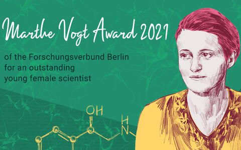 Marthe Vogt Award Illustration