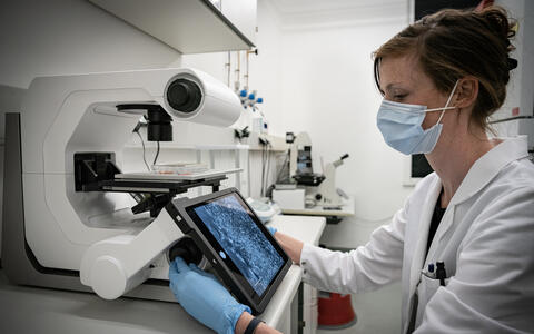First author Dr. Vera Zywitza working in the laboratory