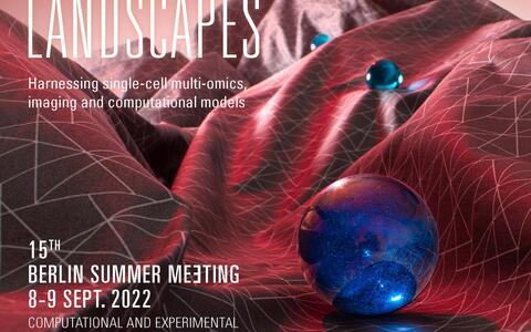 BSM 2022