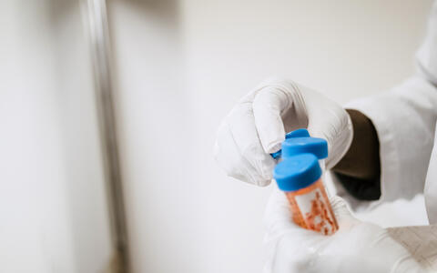 Person holds three sample vials in their hands