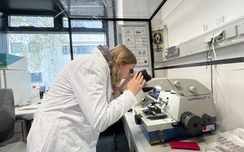 Junge Frau schaut in einem Labor durch ein Mikroskop