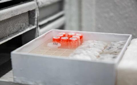 Frozen samples
