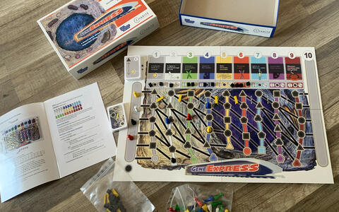 Gene Express Board Game