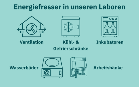 Hauptenergieverbraucher im Labor sind Lüftung, Kühlgeräte, Inkubatoren, Wasserbäder und Werkbänke.