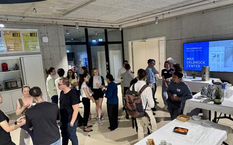 Participants engaging in conversation during a networking session.