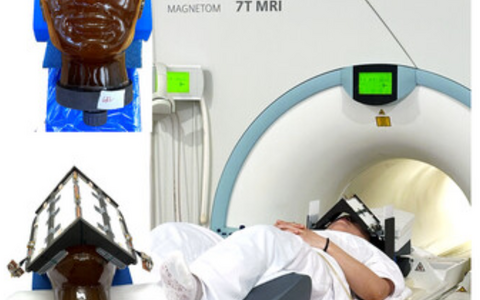 Experimental Setup on Head Phantom & Human Subject