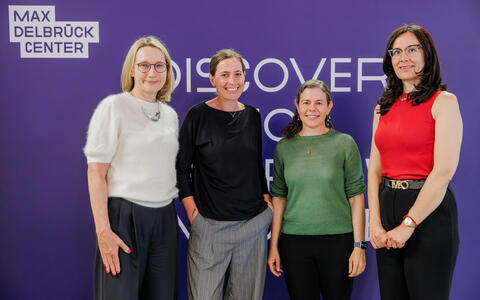 Maike Sander, Christine Horejs, Karen Christman and Milica Radisic