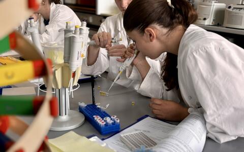 Students in the laboratory