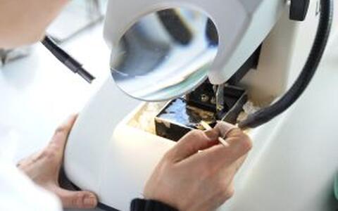 2012_11_23_Labor trifft Lehrer - Pr&auml;paration 3