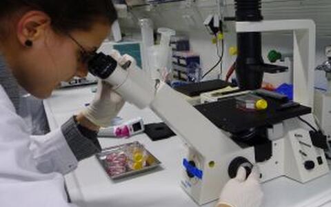 Photos & movies - Mikroskop 1