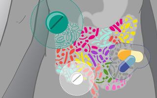 Graphic of a gut and its microbiomes